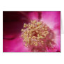 heart of a rose greeting card