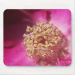 heart of a rose mouse mat