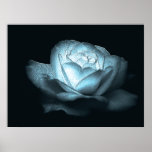 heart of ice rose poster