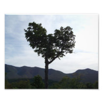 Heart of New Hampshire