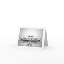 Heart of Swans