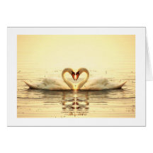 Heart of Swans Cards