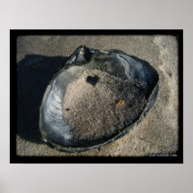 Heart of the Ocean Poster