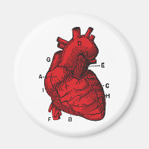 heart refrigerator magnets