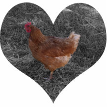 Heart Shaped Chicken Christmas Ornament Photo Cutout