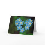 Heart Shaped Forget-me-not Flowers Cards