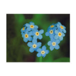 Heart Shaped Forget-me-not Flowers