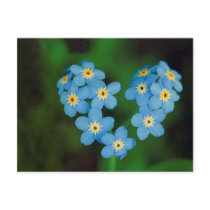 Heart Shaped Forget-me-not Flowers