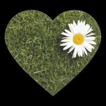 Heart shaped piece of lawn with big daisy flower stickers