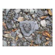 Heart Shaped Rock 3 Photo Print