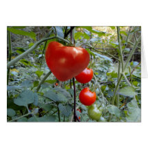 Heart Shaped Tomato, CORNY message Greeting Card