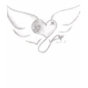 heart wings t-shirts