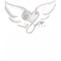 heart wings t-shirts