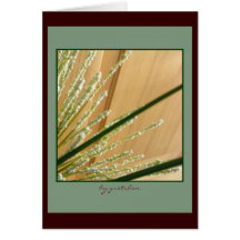 Heather and Carved Door Greeting Card