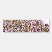 Heather Flowers Beautiful View Bumper Stickers