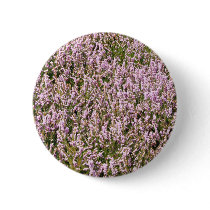 Heather Flowers Beautiful View
