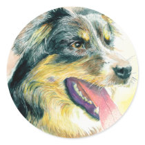 Heather the Border Collie Stickers