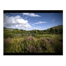 Heathland (postcard)