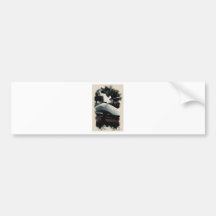 heavely sufi bumper sticker