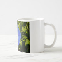 Heavenly Blue Morning Glory Mug