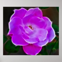 Heavenly pink rose and meaning poster