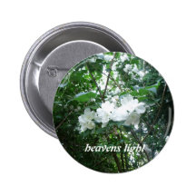 heavens light pins