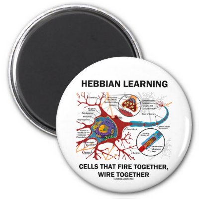 hebbian learning