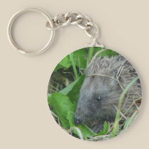 Hedgehog #1 keychains