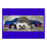 Hedgehog and Race Car Cards