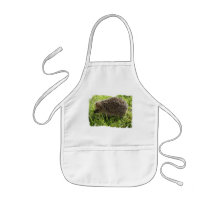 Hedgehog Children's Smock Aprons