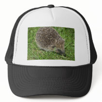 Hedgehog Close-up Hat
