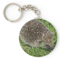 Hedgehog Close-up Keychain