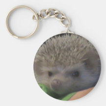 hedgehog face keychains