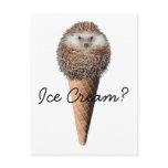 Hedgehog Ice Cream Post Card