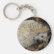 hedgehog in leaves keychain