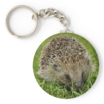 Hedgehog Key Chain