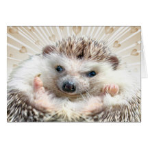 Hedgehog Love Cards
