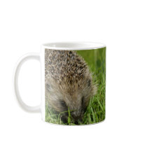 hedgehog mug