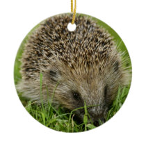 Hedgehog Ornament