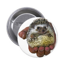 Hedgehog Pin