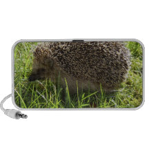 Hedgehog Portable Speakers