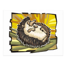 Hedgehog Post Card