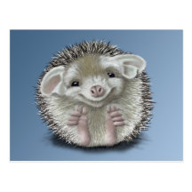 Hedgehog Postcard