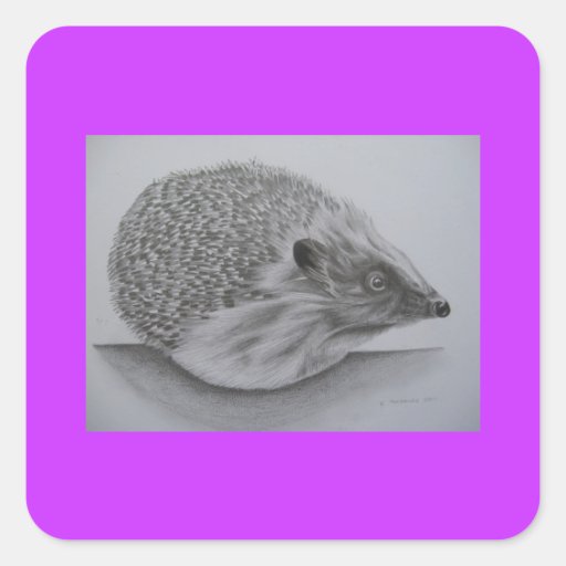 Hedgehog Products (2) Square Sticker