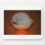 Hedgehog Sundae Mouse Pads