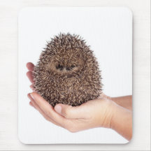 hedgehog tapis de souris