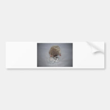Hedgehog with Ornaments Bumper Stickers