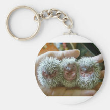 Hedgie Love Key Chain