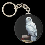Hedwig on books keychains