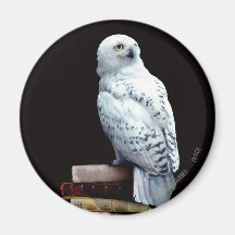 Hedwig on books refrigerator magnet